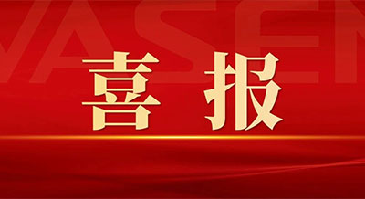 偉星新材榮獲2024年浙江省制造業(yè)質(zhì)量標桿